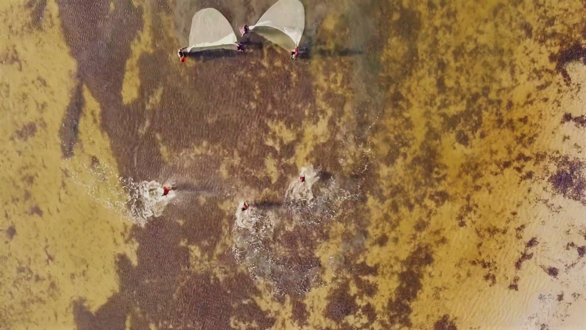 Pêcheurs au travail